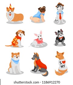 Cute purebred puppies set, pedigree dog characters vector Illustrations on a white background