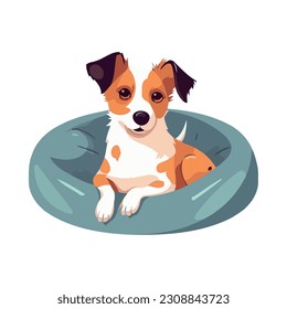 Cute purebred terrier puppy sitting on lap icon isolated