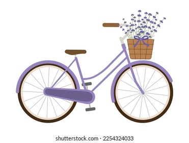 Cute purple bike with lavender flowers in the basket. Isolated on white background. Retro bicycle carrying a basket with flowers. Vector illustration.