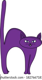 A cute Purple Cat scared of fear.