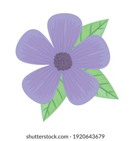 cute purple petals flower and leafs spring icon vector illustration design