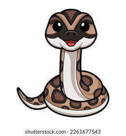 Cute python molurus bivittatus cartoon