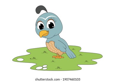 cute quail animal cartoon, simple vector illustration