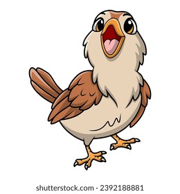 Cute quail bird cartoon on white background