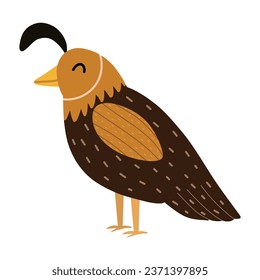 Cute quail bird isolated on white background. Doodle animal in cartoon style clipart. Vector illustration