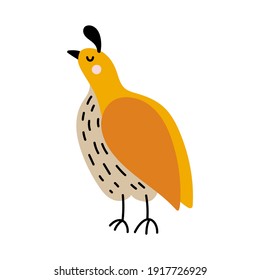 Cute quail isolated on white background in flat and doodle style. Cartoon bird vector illustration.