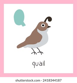 Cute quail. Little bird. Letter Q. English alphabet for kids. Educational vector illustration.