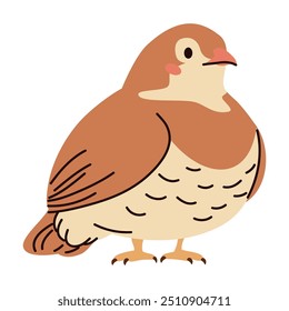 Codorniz linda sobre fondo blanco. Ilustración vectorial plana en estilo infantil simple 