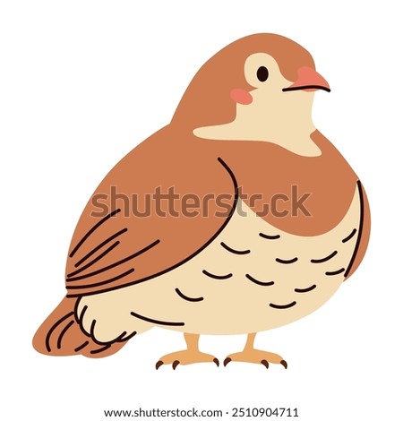 Cute quail on white background. Flat vector illustration in simple child style 