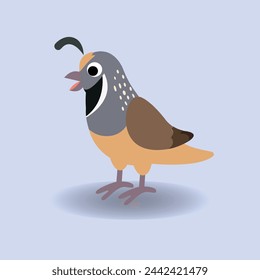 Cute Quail vector illustration.Happy Bird cartoon.Alphabet animal concept 