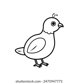 Cute Quail Vector line art and silhouette illustration