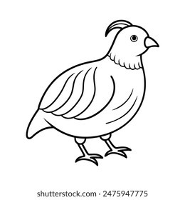 Cute Quail Vector line art and silhouette illustration