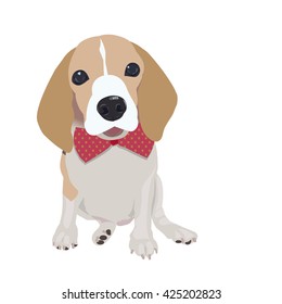 Cute Queen Elizabeth Pocket beagle with red bow on white background,vector illustration