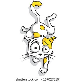 Cute and quirky Cat Ready Jump