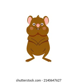 Cute Quokka Animal Cartoon Vector Illustration. Australian Quokka Animal Isolated On White