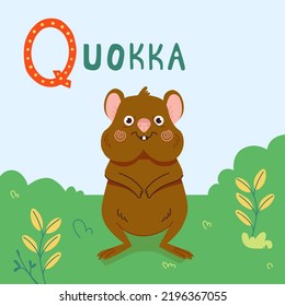Cute quokka animal cartoon vector illustration. Australian Quokka animal on green grass on blue sky