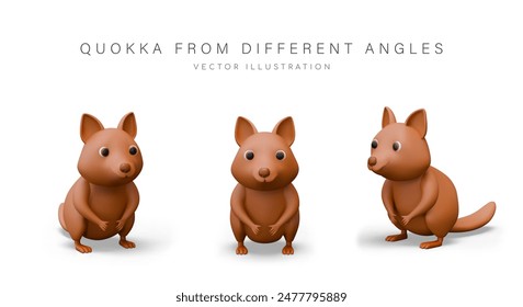 Cute quokka, front and different sides view. Wild animal, kind of small kangaroo