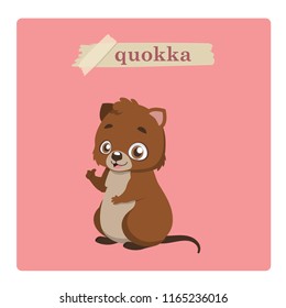 Cute quokka illustration on pink background