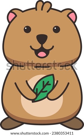 Cute quokka with a leaf. Vector illustration on white background.