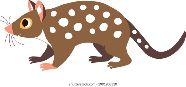 Cute quoll - nocturnal animal graphic