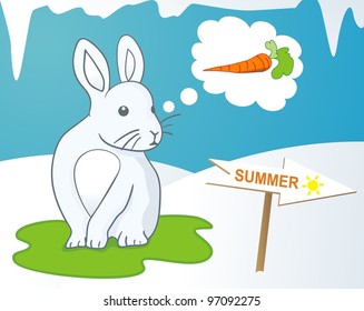 Cute Rabbit