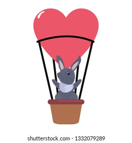 cute rabbit in air balloon