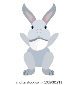 cute rabbit animal