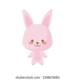 cute rabbit animal character