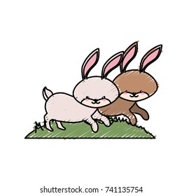 cute rabbit animal couple together