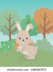 cute rabbit animal farm character