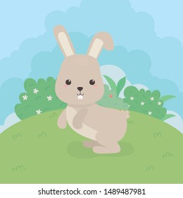 cute rabbit animal farm character