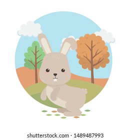 cute rabbit animal farm character