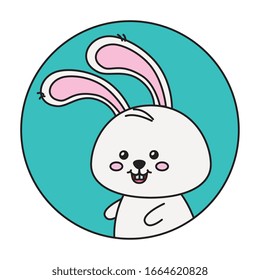 cute rabbit animal in frame circular vector illustration design