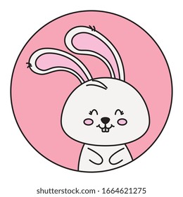 cute rabbit animal in frame circular vector illustration design