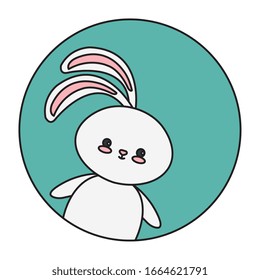 cute rabbit animal in frame circular vector illustration design