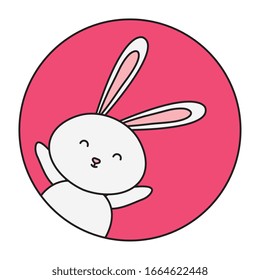 cute rabbit animal in frame circular vector illustration design