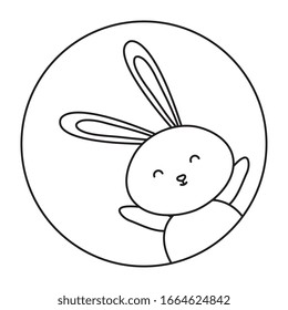 cute rabbit animal in frame circular vector illustration design