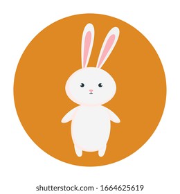cute rabbit animal in frame circular vector illustration design