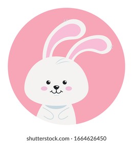 cute rabbit animal in frame circular vector illustration design