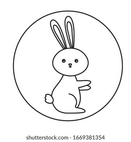 cute rabbit animal in frame circular vector illustration design