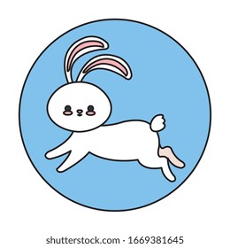 cute rabbit animal in frame circular vector illustration design
