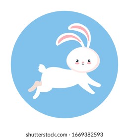 cute rabbit animal in frame circular vector illustration design