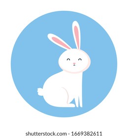 cute rabbit animal in frame circular vector illustration design