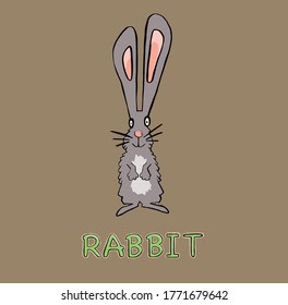 cute rabbit animal in frame circular illustration