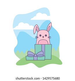 cute rabbit animal in gift box in landscape
