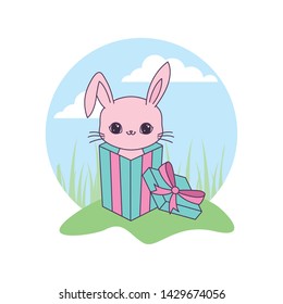 cute rabbit animal in gift box in landscape