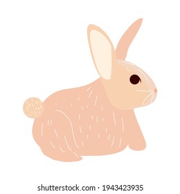 cute rabbit animal hand drawn