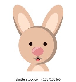 cute rabbit animal icon over white background, colorful design. vector illustration