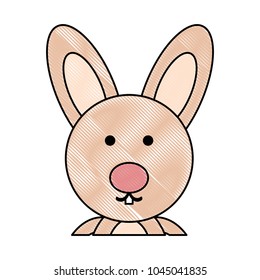 cute rabbit animal icon over white background, colorful design. vector illustration