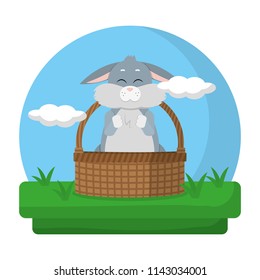 cute rabbit animal inside hamper in the landscape